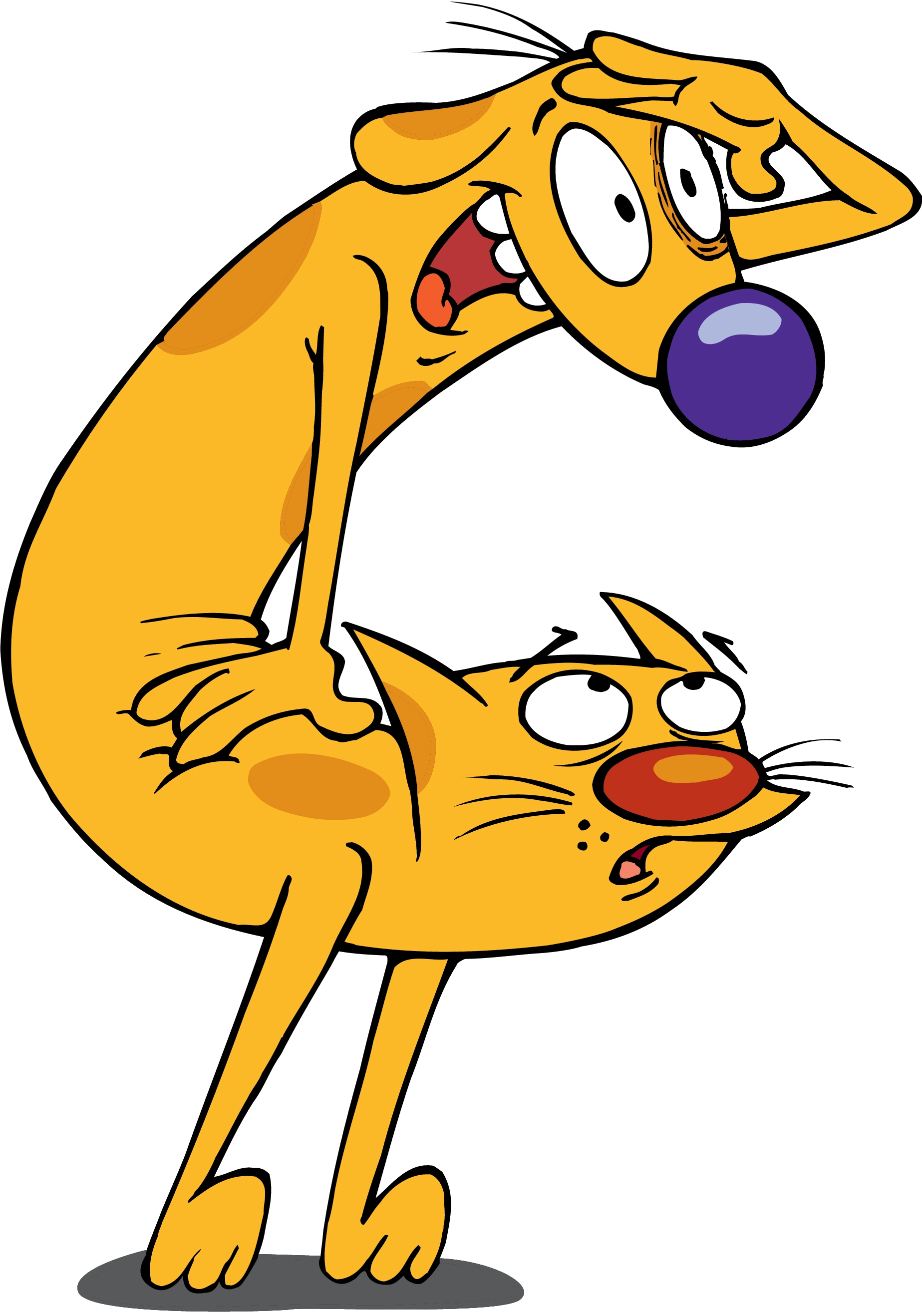 catdog cat