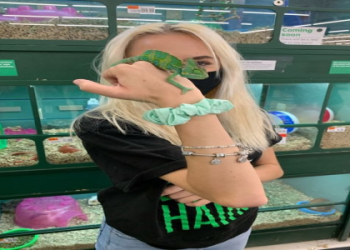 pet supply plus springfield illinois