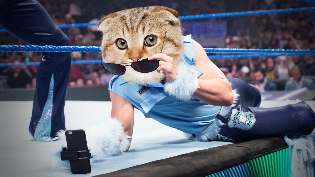 wwe cat