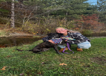 fayette friends and animals