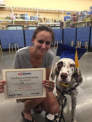 pet smart dog training